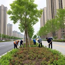 今年会官方网站 余姚城市绿化带护栏