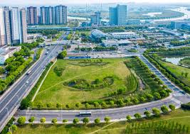 武安园林绿化树苗批发市场